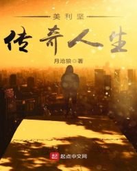 《美利坚传奇人生》
