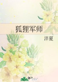 《狐狸军师》